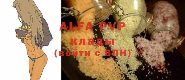 прущие грибы Вязники