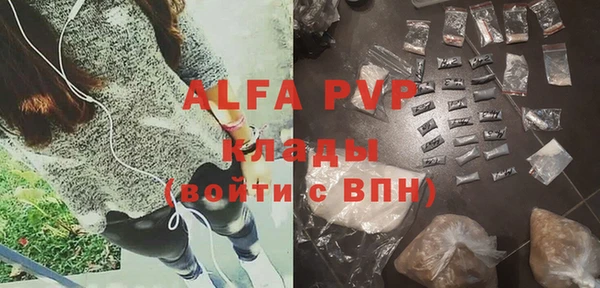 крисы Вязьма