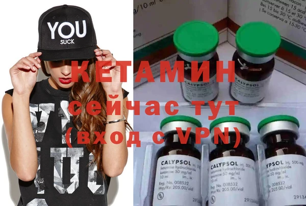 прущие грибы Вязники