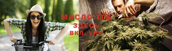 сатива Гусиноозёрск